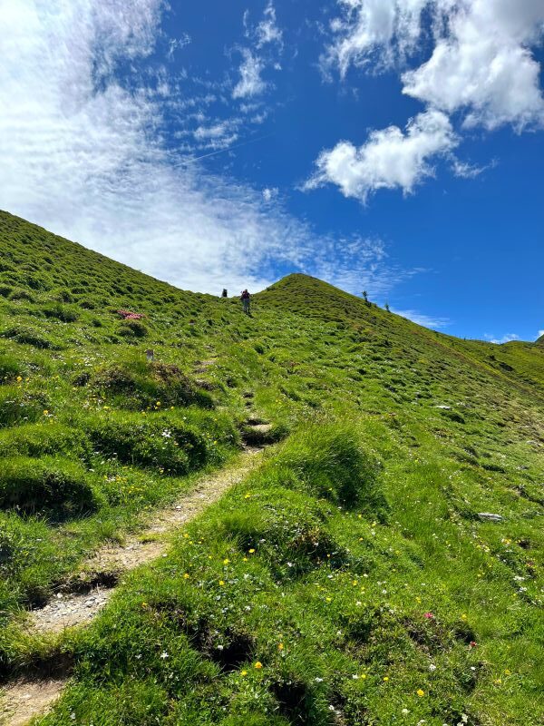 Alpenüberquerung_Wanderweg_senkrecht